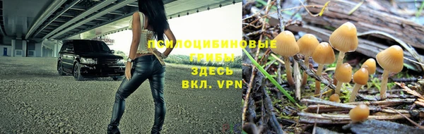 ALPHA-PVP Армянск