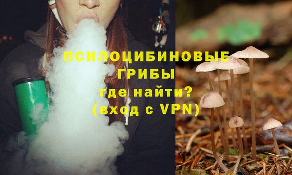 таблы Арсеньев
